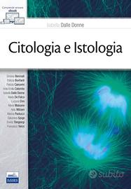 Isologia e Citologia Dalle Donne