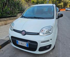 FIAT Panda 3ª serie - 2015
