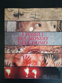 I fossili nel mondo dell'uomo.