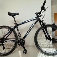 MOUNTAIN BIKE TORPADO