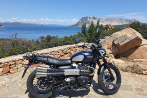 Triumph Street Scrambler Gold Line 900