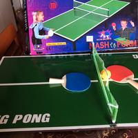Tavolo ping pong