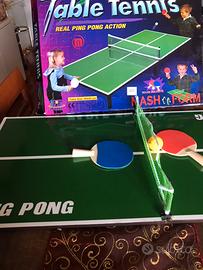 Tavolo ping pong