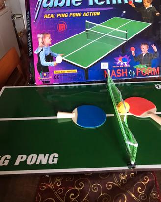 Tavolo ping pong
