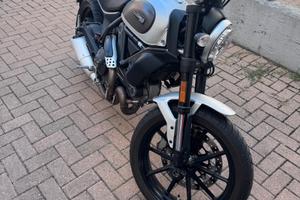 Ducati scrambler 800 icon del 2018