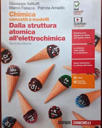 Chimica: concetti e modelli. Elettrochimica
