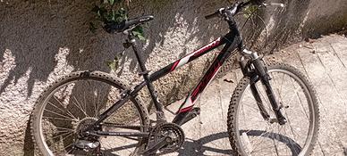 Mountain bike da ragazzo