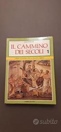 Libro di Storia: "Il cammino dei secoli 1"