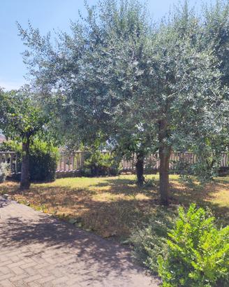 Complesso immobiliare residenziale