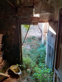 Casa con volte a stella e a botte con giardino