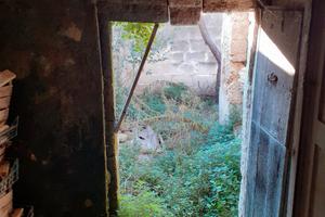 Casa con volte a stella e a botte con giardino