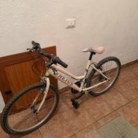 Bici mountain bike frejus donna