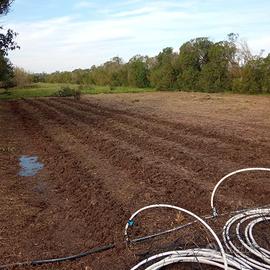 Terreno agricolo san sperate