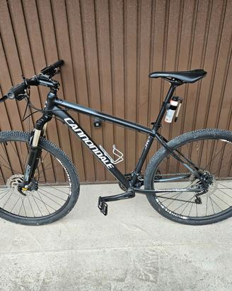 Bici mountain bike