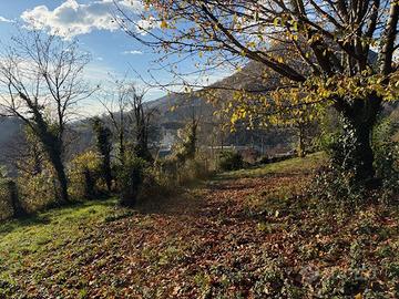 Terreno Agricolo Nembro [Cod. rif 3282803VCG]