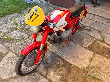 AERMACCHI HARLEY DAVIDSON ALA VERDE
