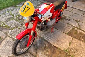 AERMACCHI HARLEY DAVIDSON ALA VERDE