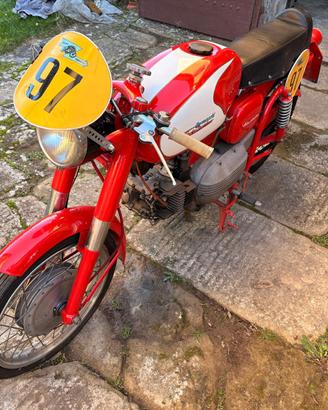 AERMACCHI HARLEY DAVIDSON ALA VERDE