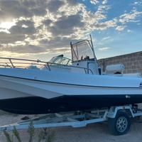 Boston whaler