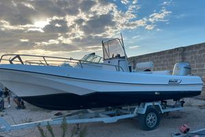 Boston whaler