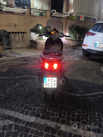 Beverly 250 targha polacca