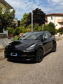 Tesla Y performance  500cv dual mitor