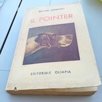 Il pointer