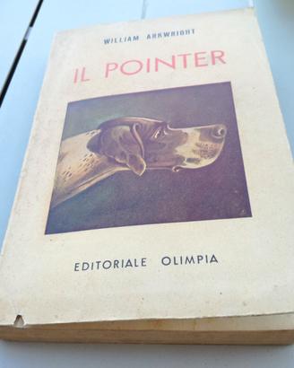 Il pointer