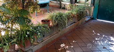 vasi da giardino
