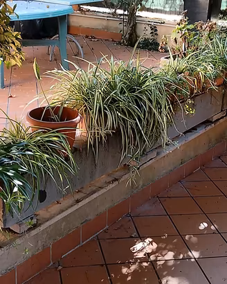 vasi da giardino