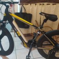 bicicletta pedalata assistita 