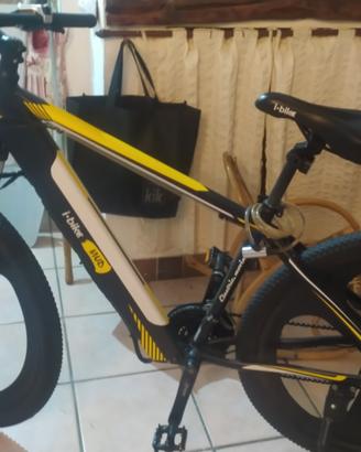 bicicletta pedalata assistita 