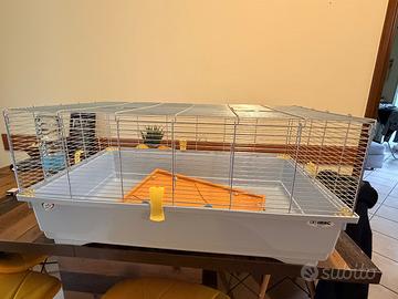 Gabbia criceto, cincillà, roditori