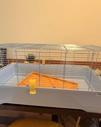 Gabbia criceto, cincillà, roditori