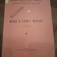 Libro mine e campi minati