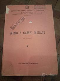 Libro mine e campi minati