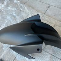 Parafango anteriore BMW F800R 09-14