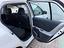 Immagine 16
