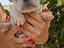 Immagine 2