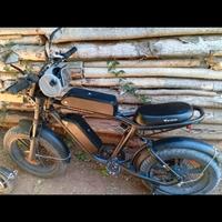 Bici elettrica con 2 batterie e Ruote di motore