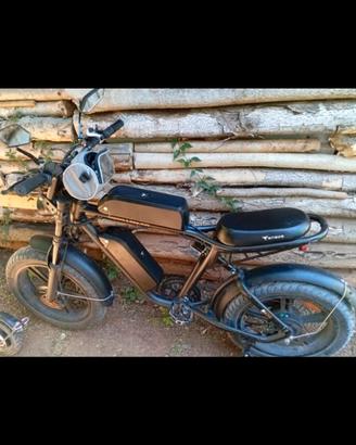 Bici elettrica con 2 batterie e Ruote di motore