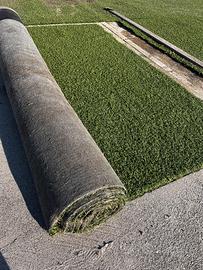 Erba sintetica