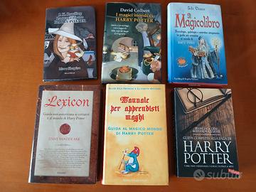 SAGGI E LIBRI SU HARRY POTTER. AA VV