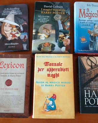 SAGGI E LIBRI SU HARRY POTTER. AA VV