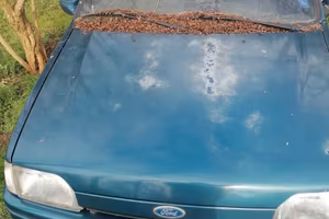 Ford fiesta. La Machina da sistemare
