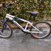 Bicicletta da bimbo