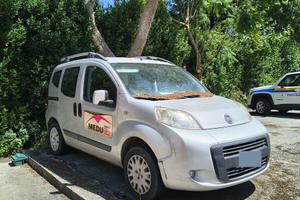 FIAT QUBO