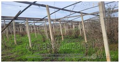 Terreno Agricolo Vittoria [A4348687]