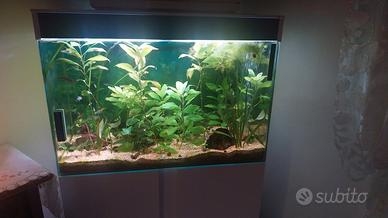 acquario da 160 litri 