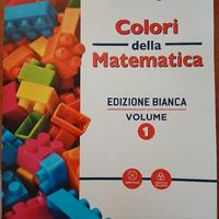 COLORI DELLA MATEMATICA  9788849421996